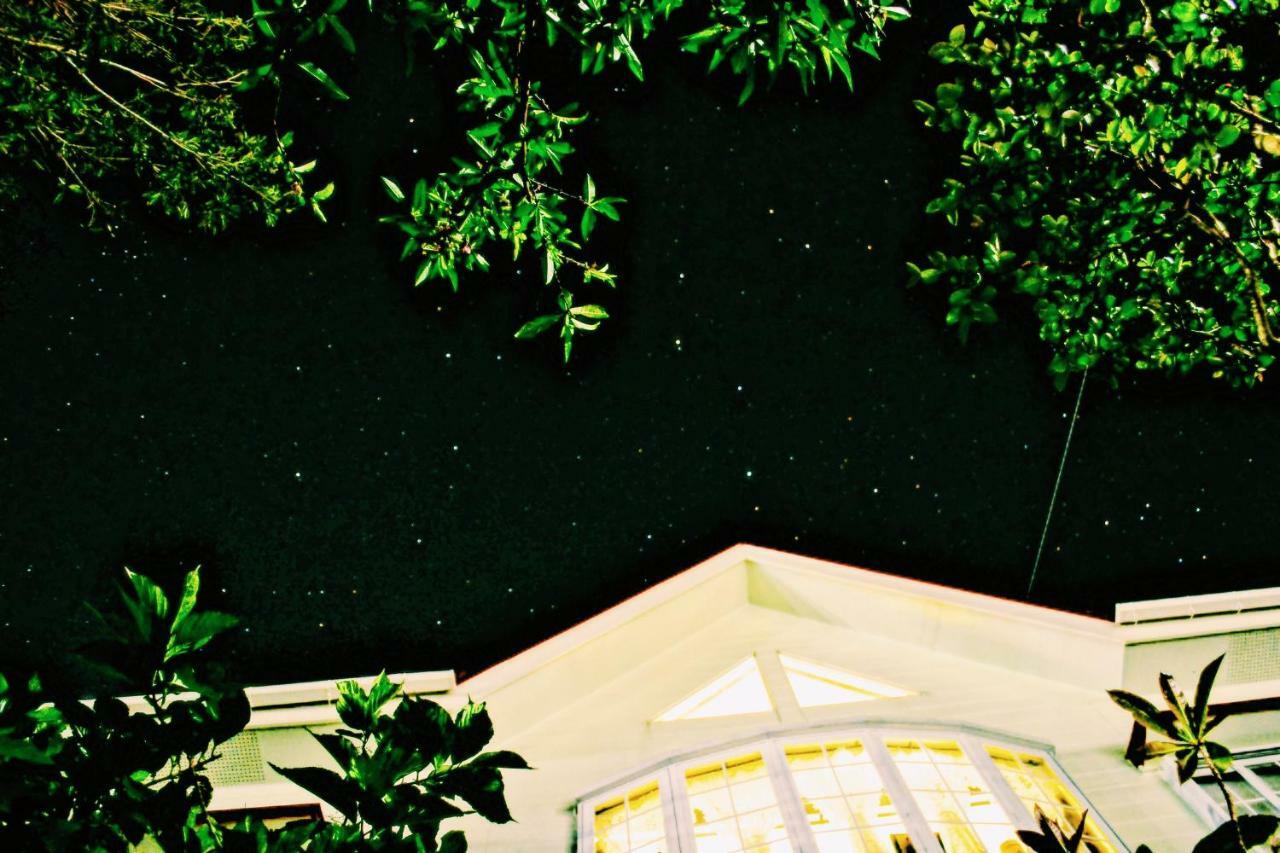 Amami-Green-Garden Dış mekan fotoğraf